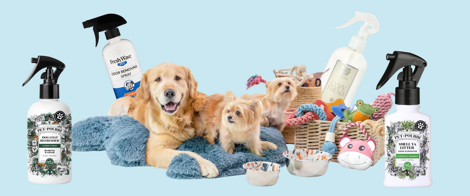 Aromas Pet Club
