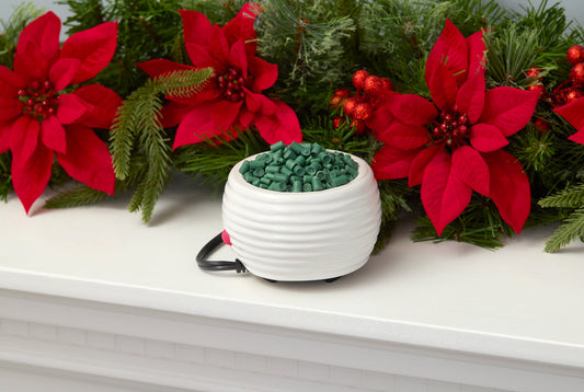 Kit Exclusivo Scentsicle Warmer + beads Spiced Pine Cone