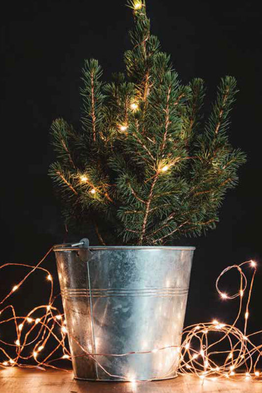 Copper Wire Mini Lights - Luces