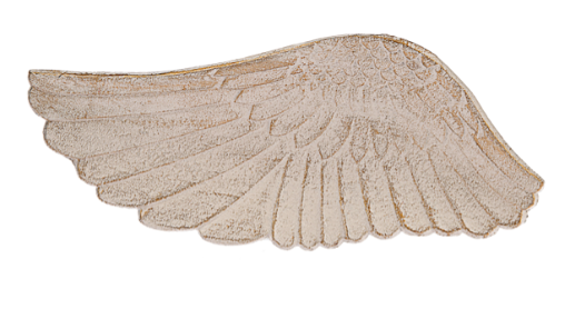Wing Trinket Dish - Plato de Ala