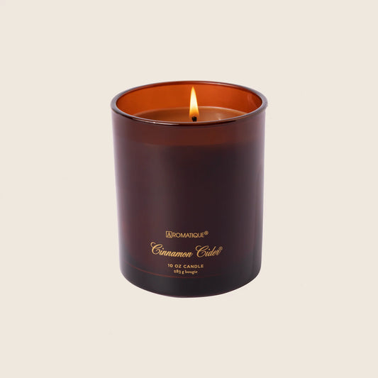 Cinnamon Cider - Foundry Candle
