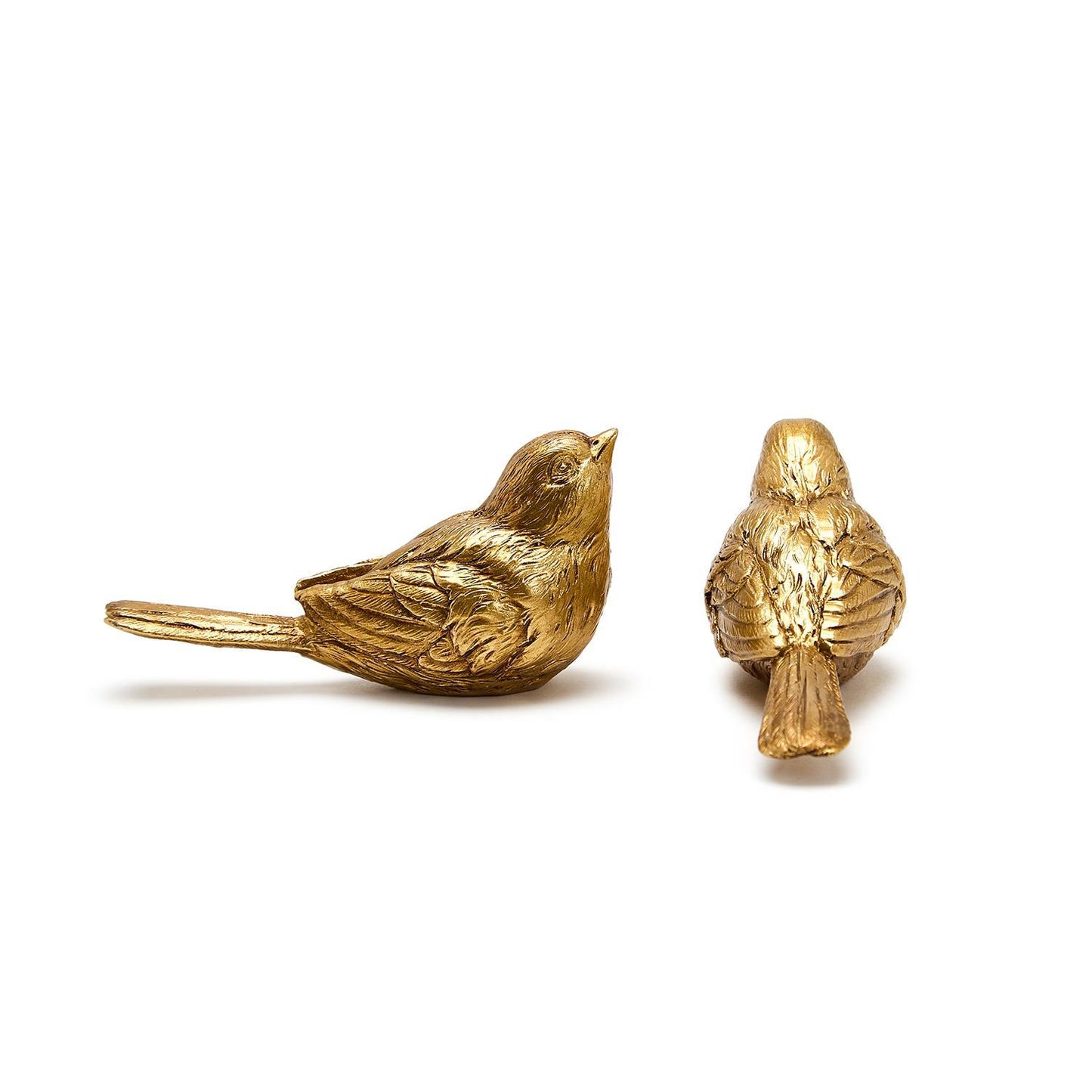 Golden Birds - Pájaros Dorados