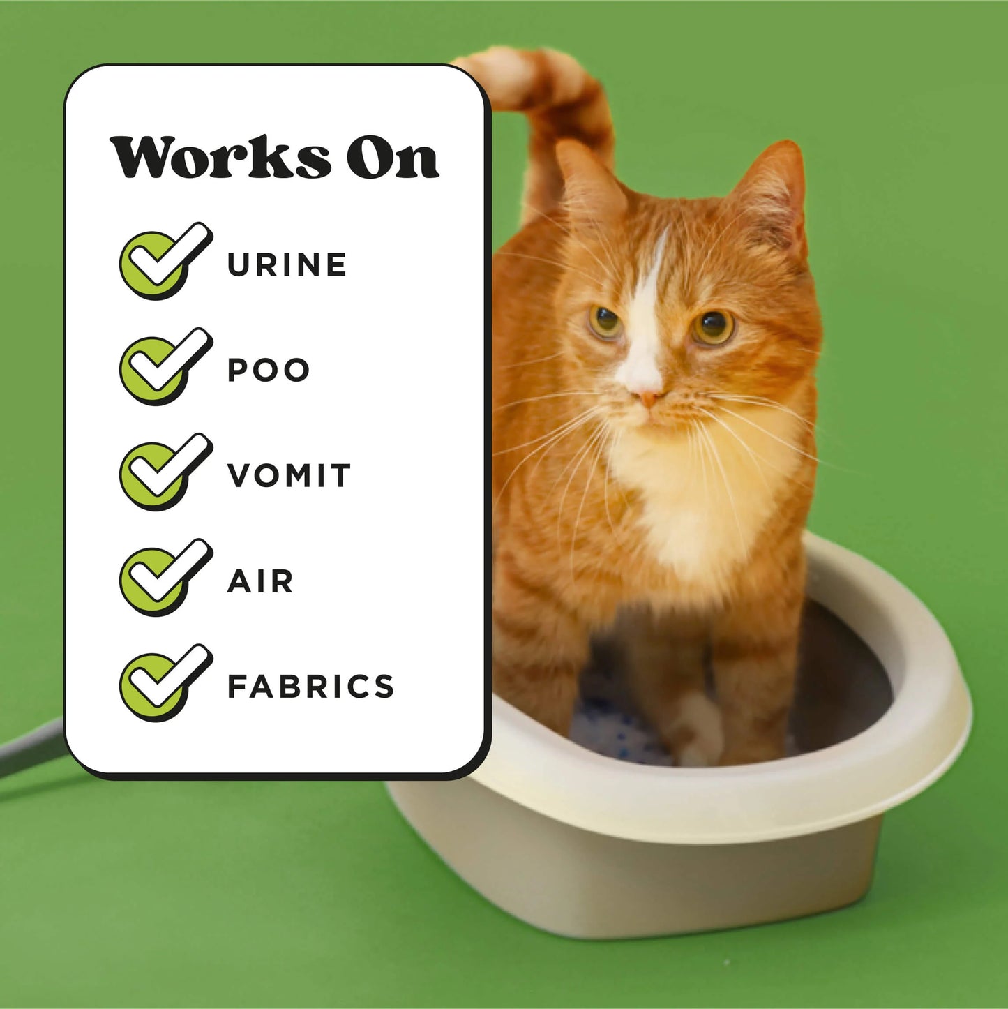 Purrfectly Bamboo bamboo + jasmine + pear 16 oz.