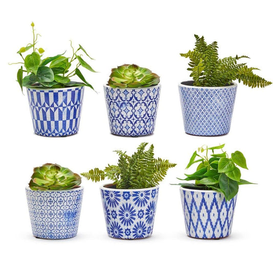 INDIGO COLLECTION 5 1/2 TERRACOTTA