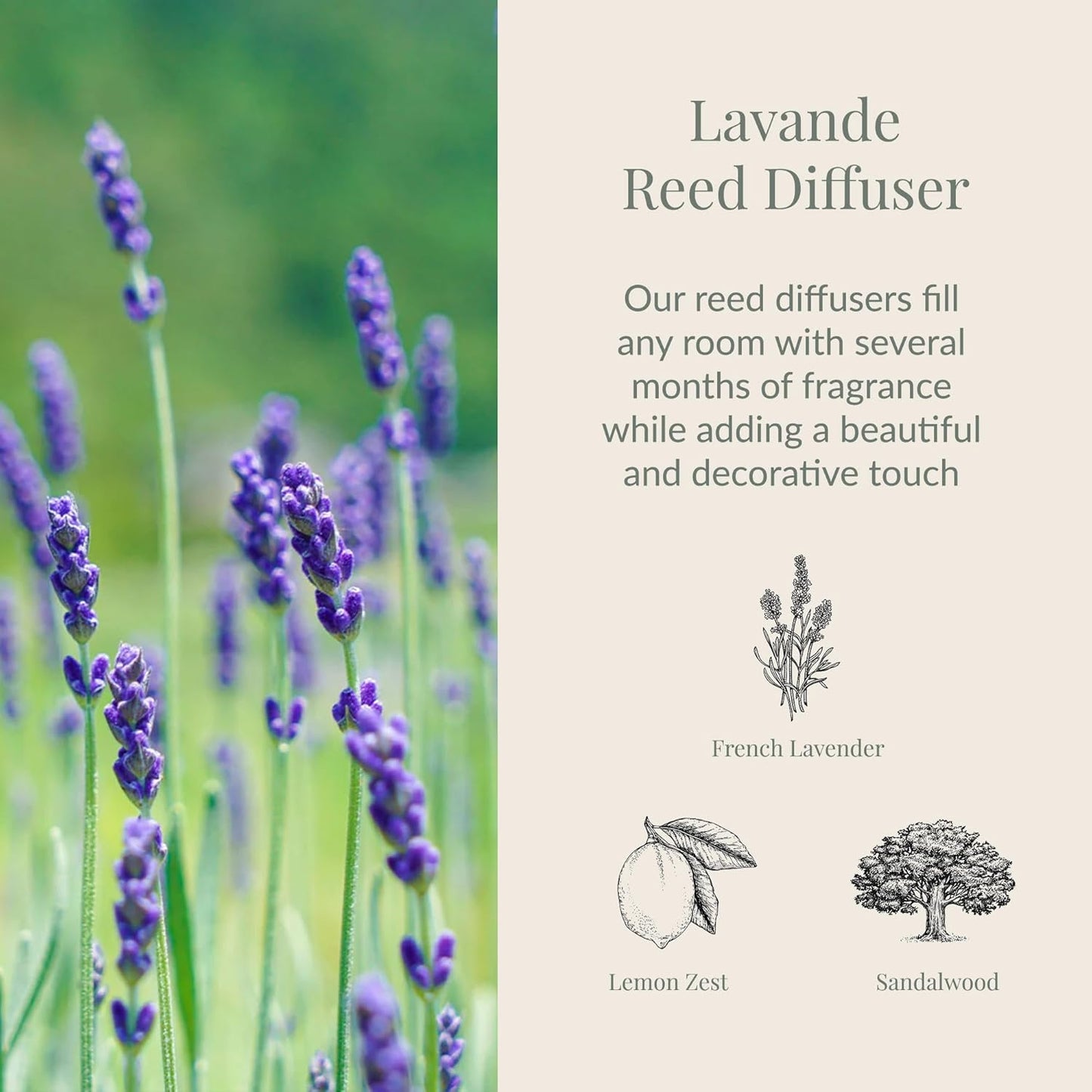 Lavande Reed Diffuser