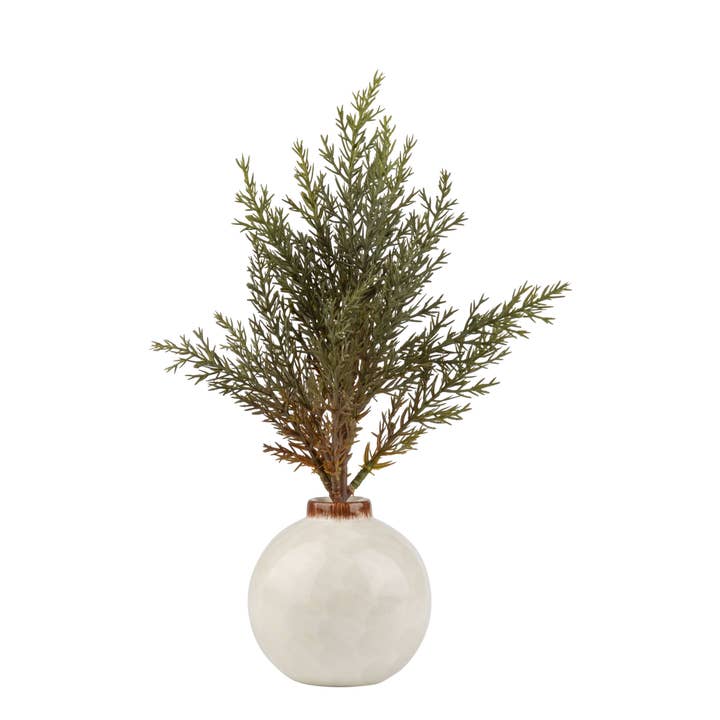 Bristle tree in ceramic pot tab
