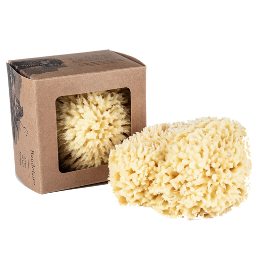 Wool Bath Sponge Large - Esponja Marina Natural