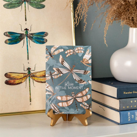 Aromas frescos que viven en el momento Libélulas