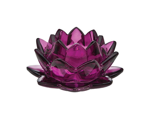 Water Lily Alexandrit C'hldr