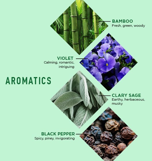 JackZen™ Renewing Body Lotion w