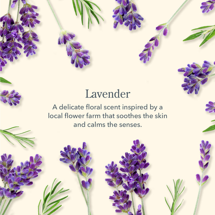 Lavender Bodycare Duo - LAVENDER 2 OZ HAND CREAM, 2 OZ