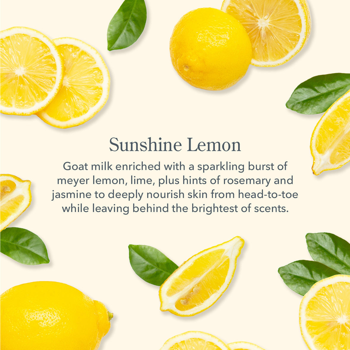 Sunshine Lemon Hand & Body Wash