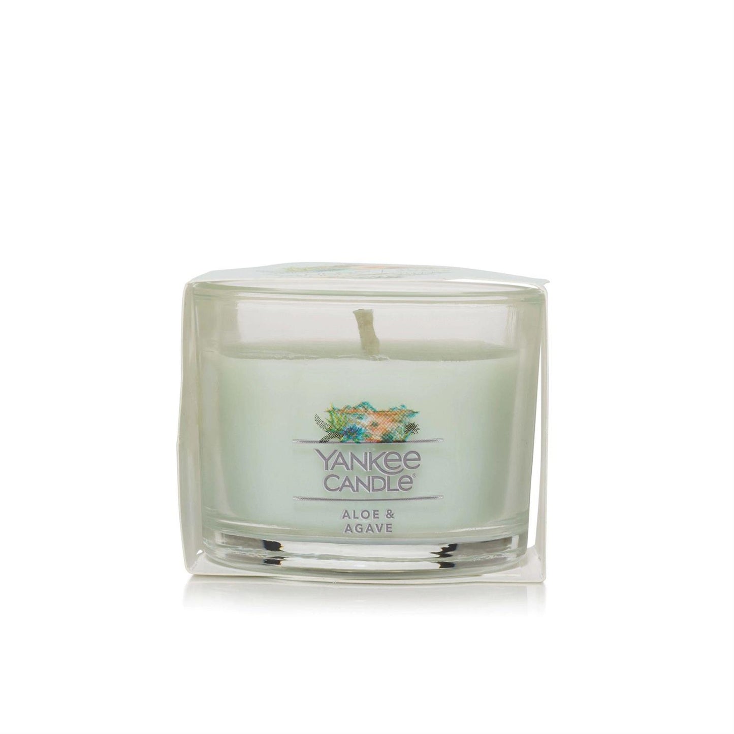 Aloe & Agave - Mini Vela
