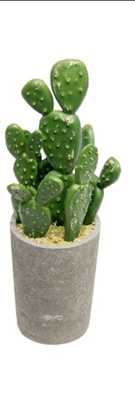 Cactus en maceta decorativo