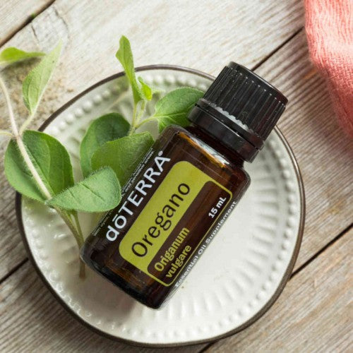 5ml Oregano - Essential Oil