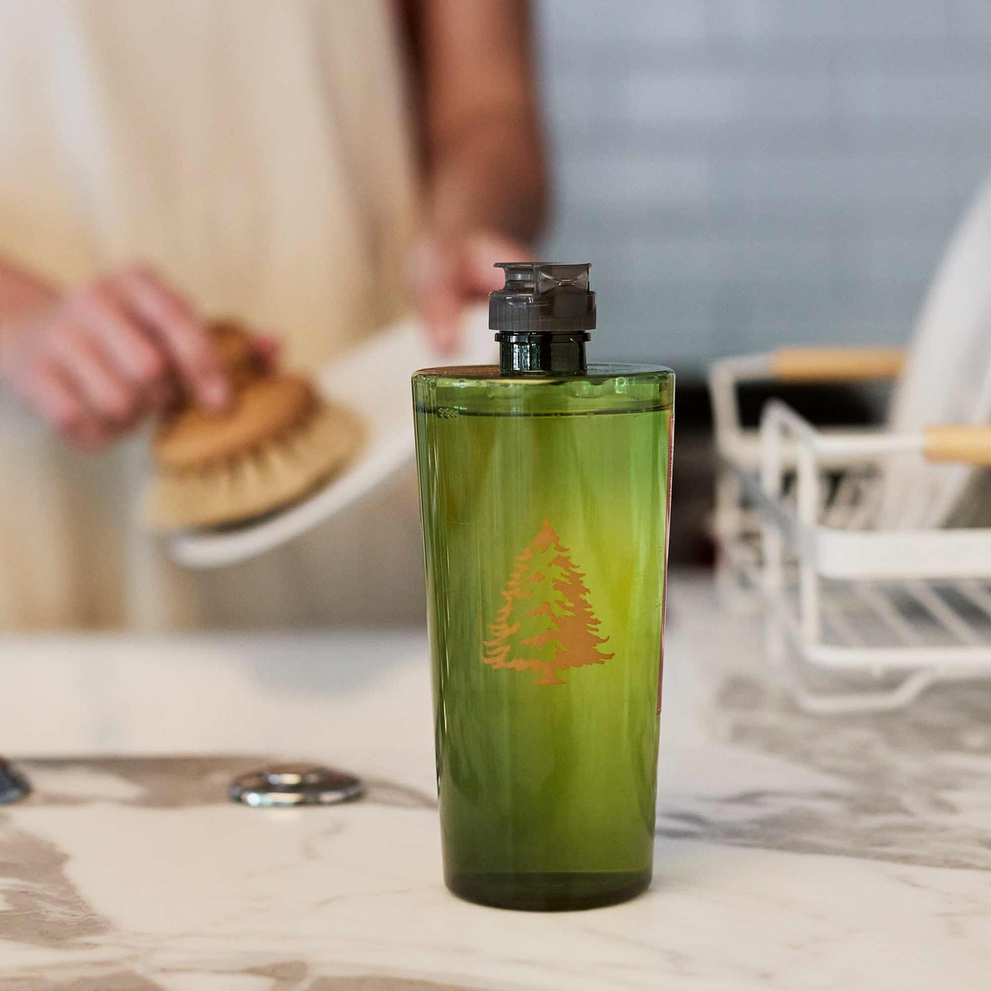 Frasier Fir Dishwashing Liquid (clean)