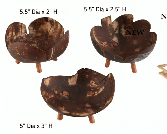 47TH & MAIN COCONUT BOWLS