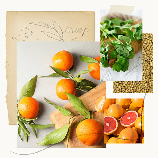 Mandarin Coriander Large Hand Wash