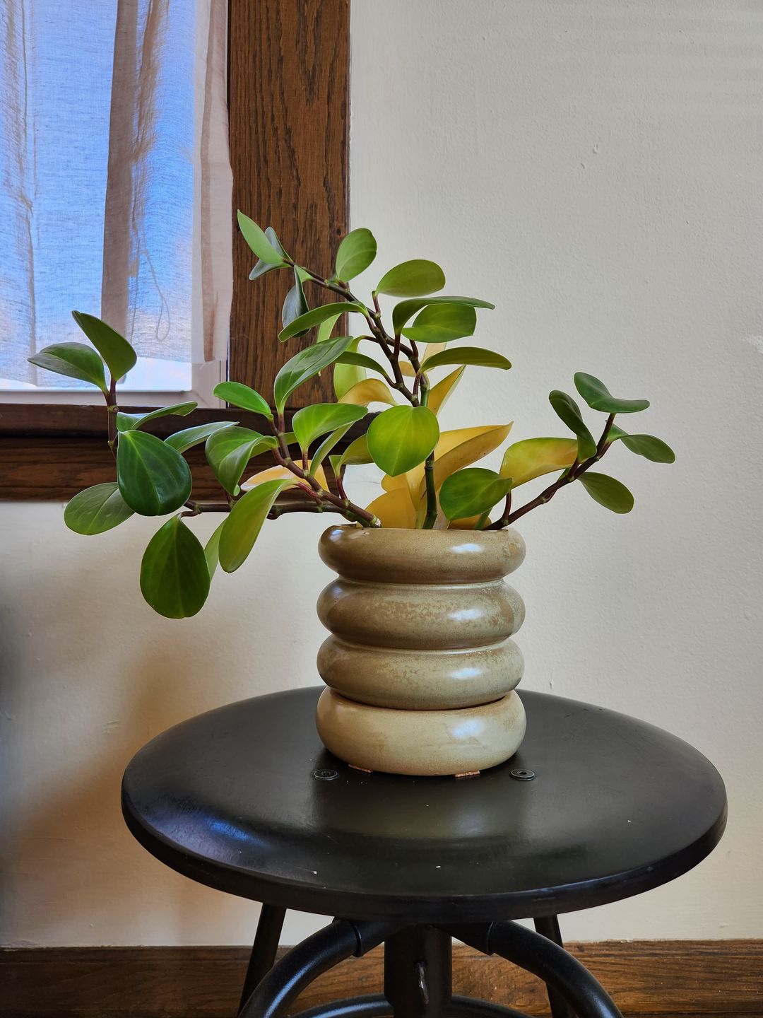 Maceta de gres con platillo