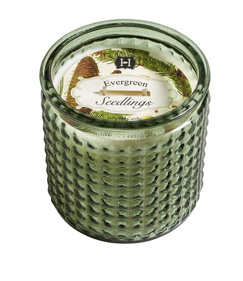 Evergreen Seedlings Outdoor 2 Wick Color Glas 15oz