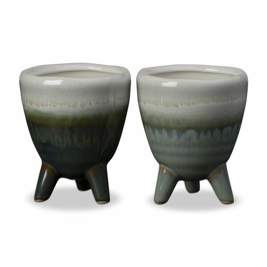 Maceta de brotes - multiusos