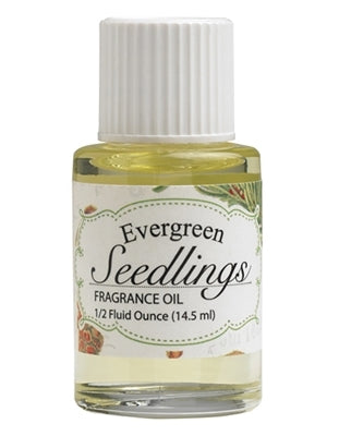 Evergreen Seedlings Refresher Oil