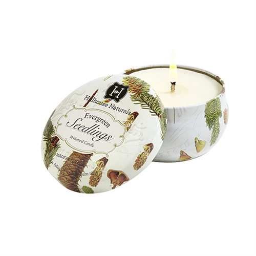Evergreen Seedlings  Candle in Tin 6.5