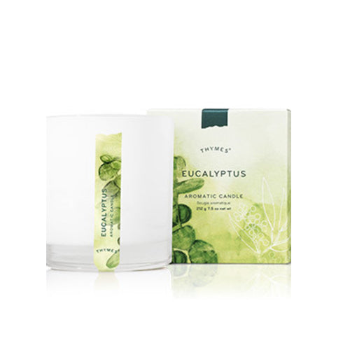 Eucalyptus Poured Candle