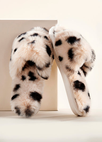 Pantuflas dalmata