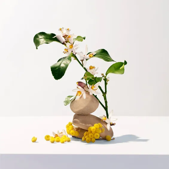 Gel de baño de Nerolí 6.6 oz.