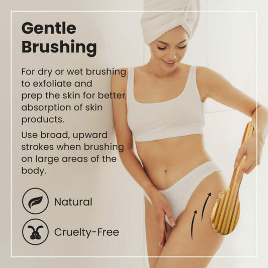 Dry Brush (Long Handle)