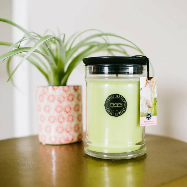 Spring Dress Large Jar Candle 18oz