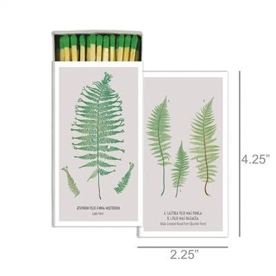 Ferns White Background Matches Decorativo