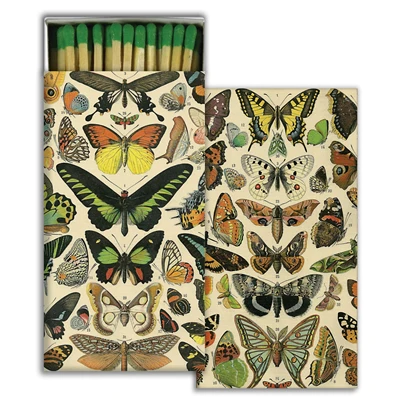 Butterfly Specimens Matches Decorativo