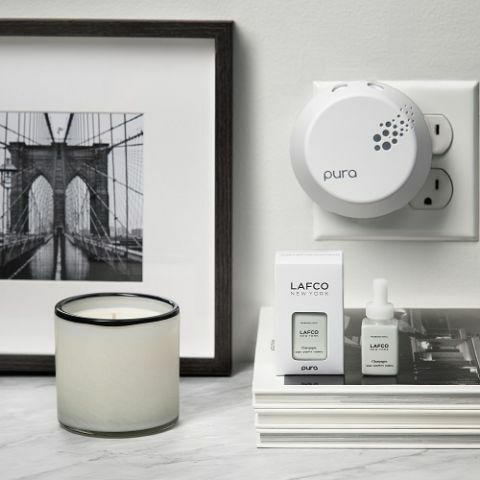 Champagne + Woodland Spruce Smart Diffuser (kit exclusivo) Pura home refill