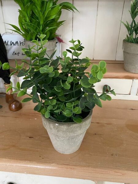 Maceta Sintetica de Eucalipto - k&k interiors