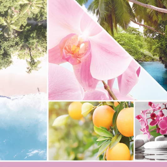 Vela Wild Orchid- Yankee Candle