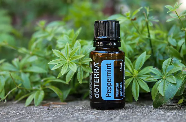 Peppermint Oil