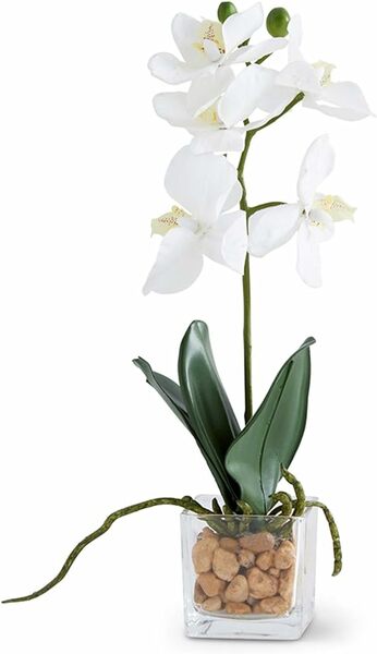 Orquídea blanca maceta en plato cuadrado de vidrio - k&k interiors
