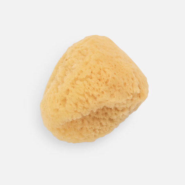 ESPONJA DE MAR NATURAL GRANDE