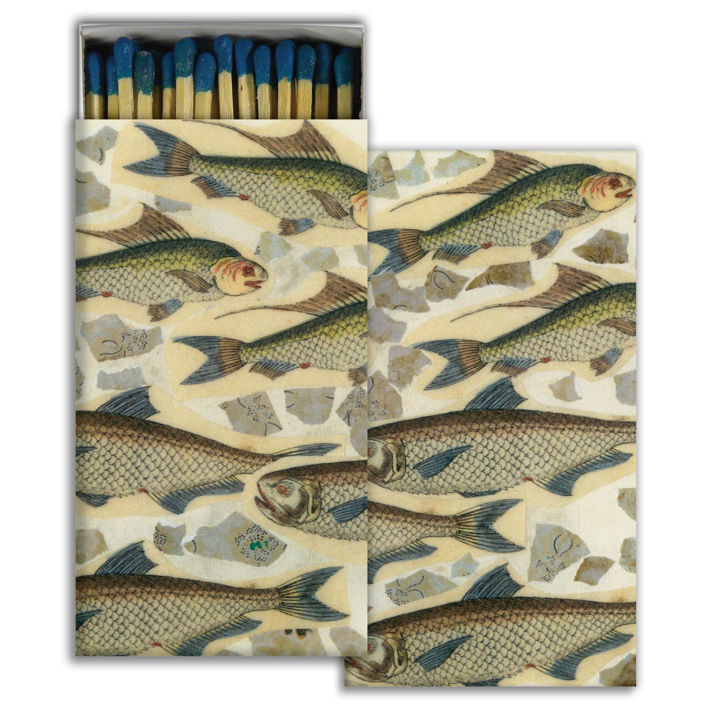 FISH SCHOOL - fósforos