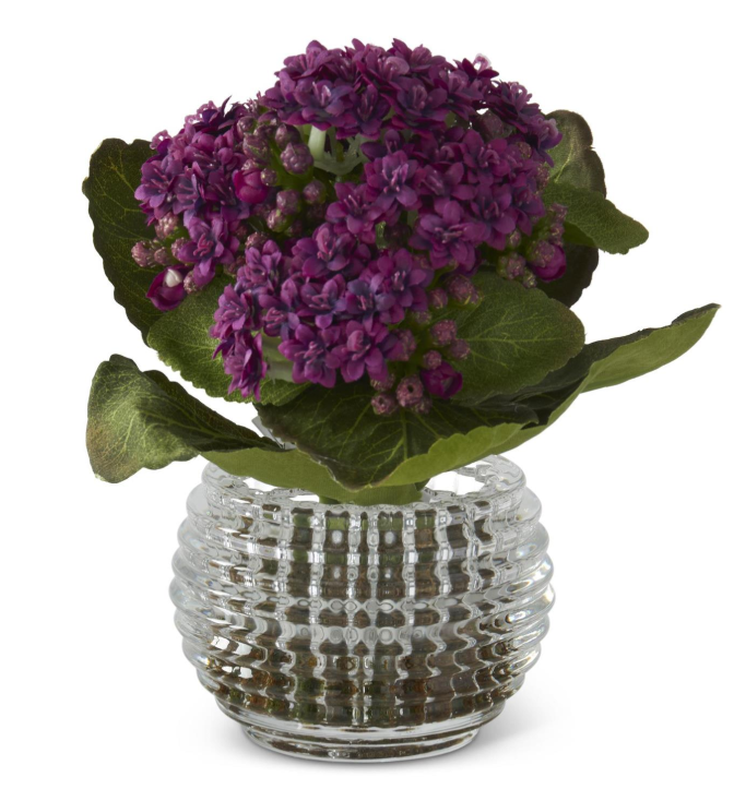 7.5 Inch Kalanchoe Premade in Pressed Glass Vase w/Faux Moss