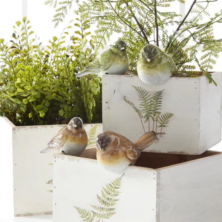 pájaros marrón - 2 estilos surtidos, 8,9 cm