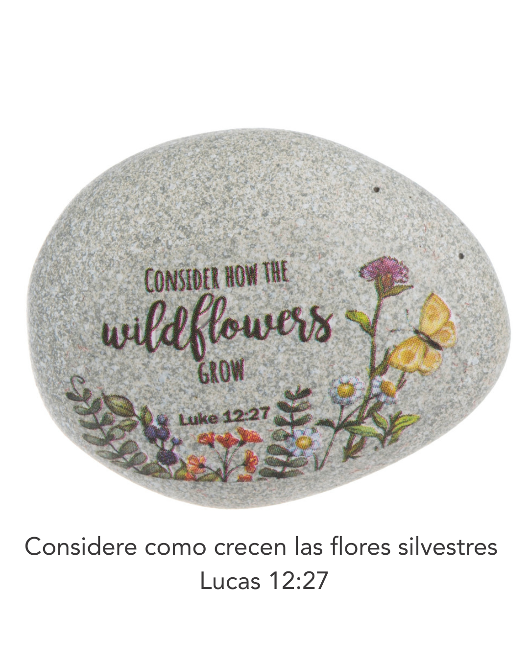 Faith is like a Seed - Stones in Planter Box - Amuletos de Piedras