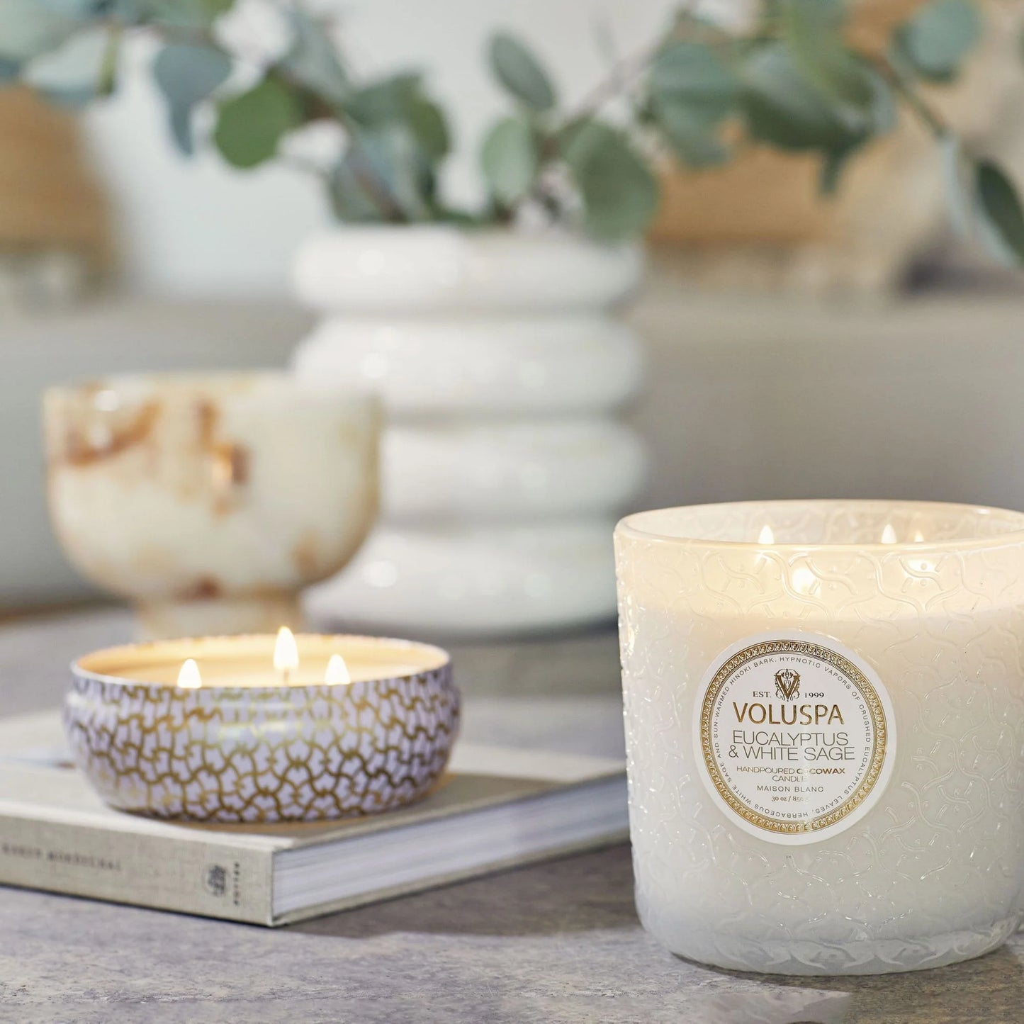 Eucalyptus & White Sage Luxe Candle