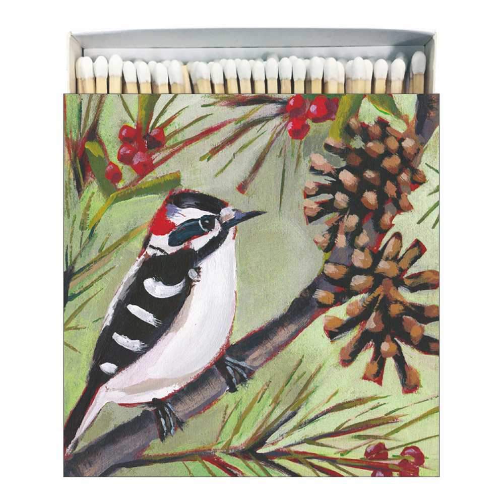 Museo de las Aves de Invierno Cerillas, Plaza