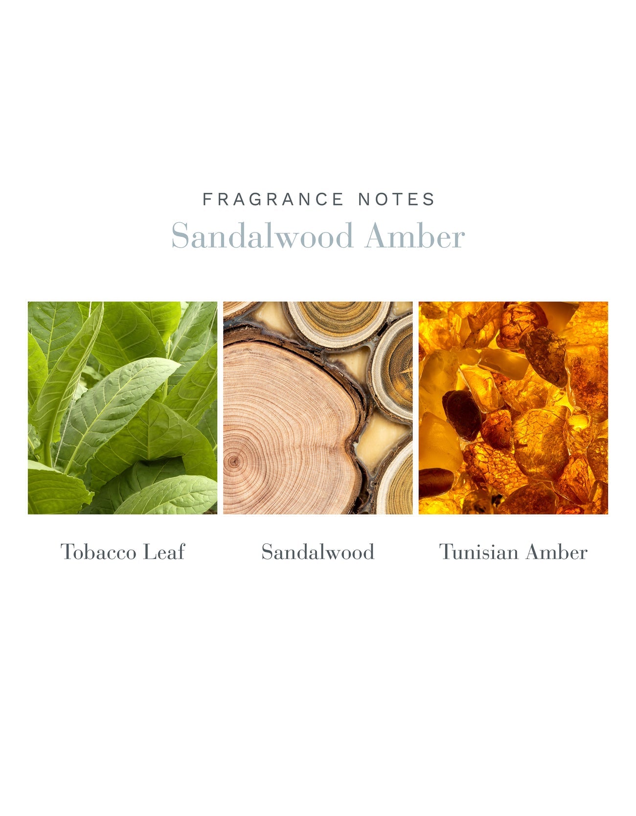 9 oz Sandalwood Amber Hexagonal