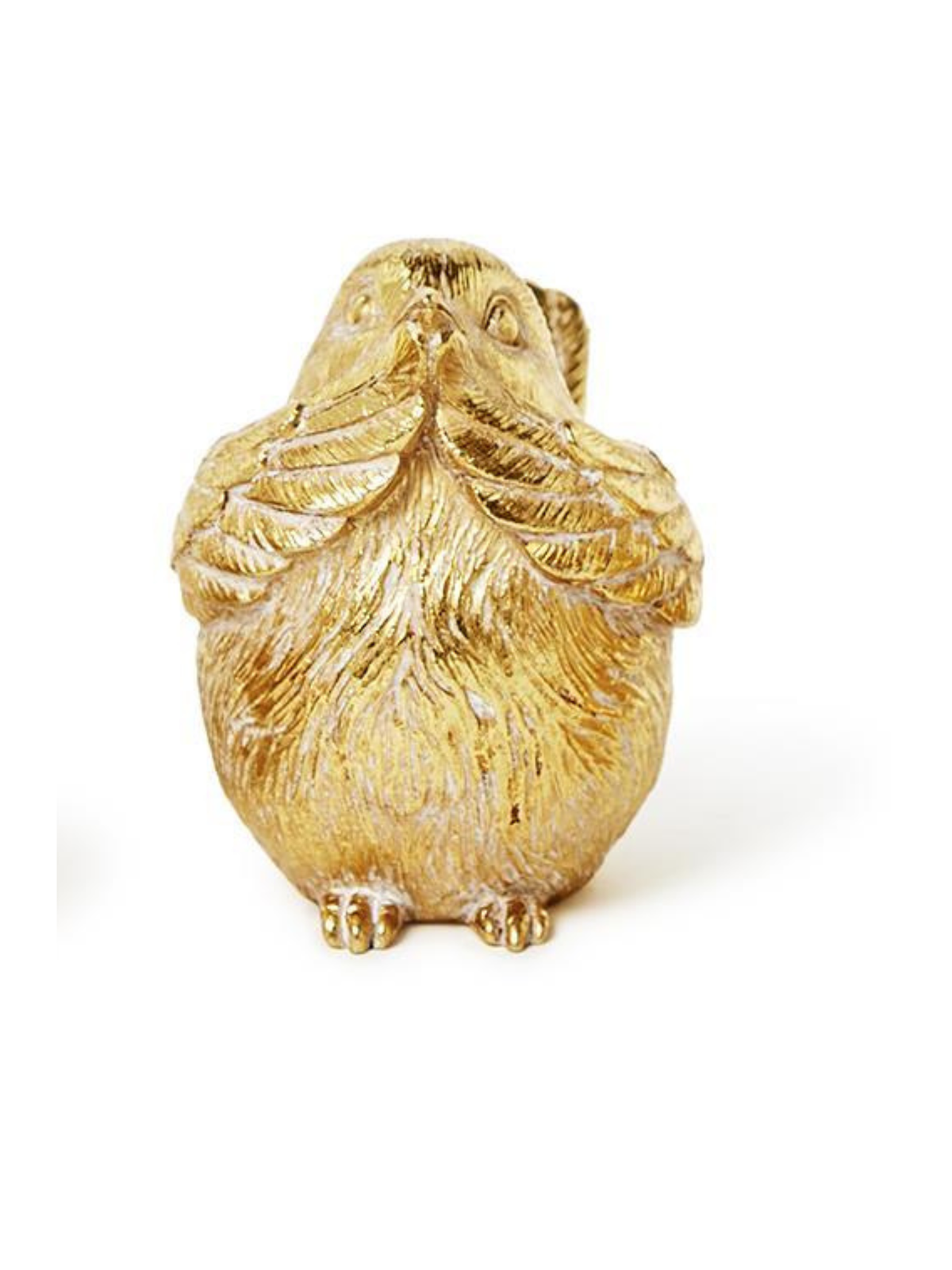 Gold Bird Decor - Aves Doradas