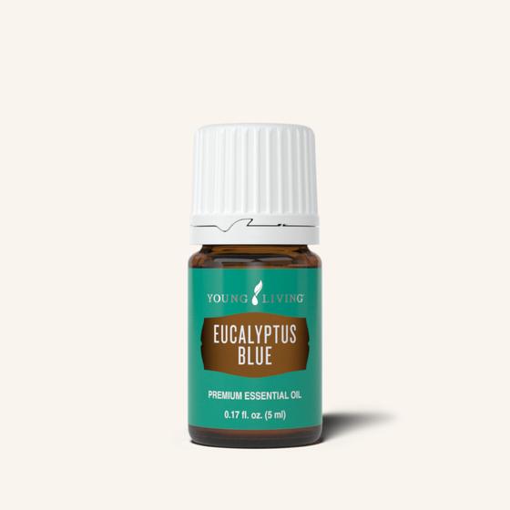 Eucalyptus Blue Essential Oil -