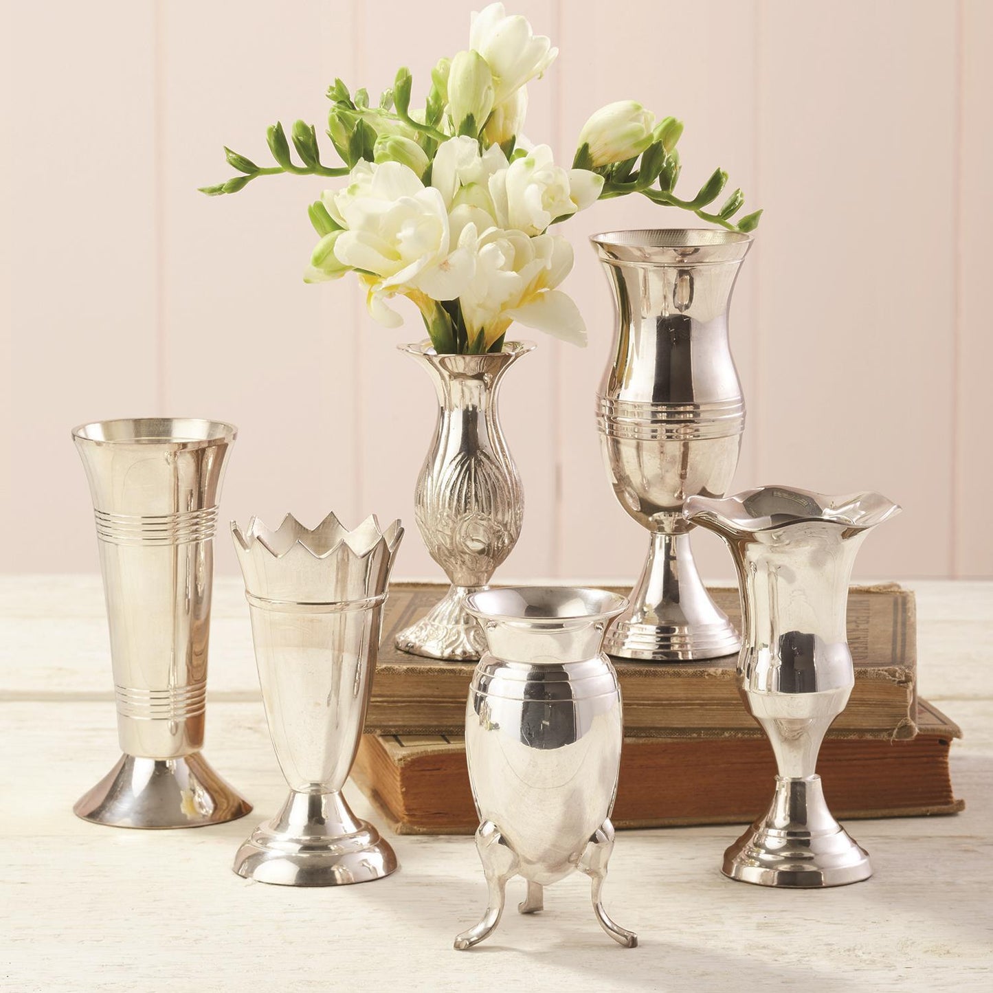 Queen Anne's Silver Vases - Jarrones Plateados